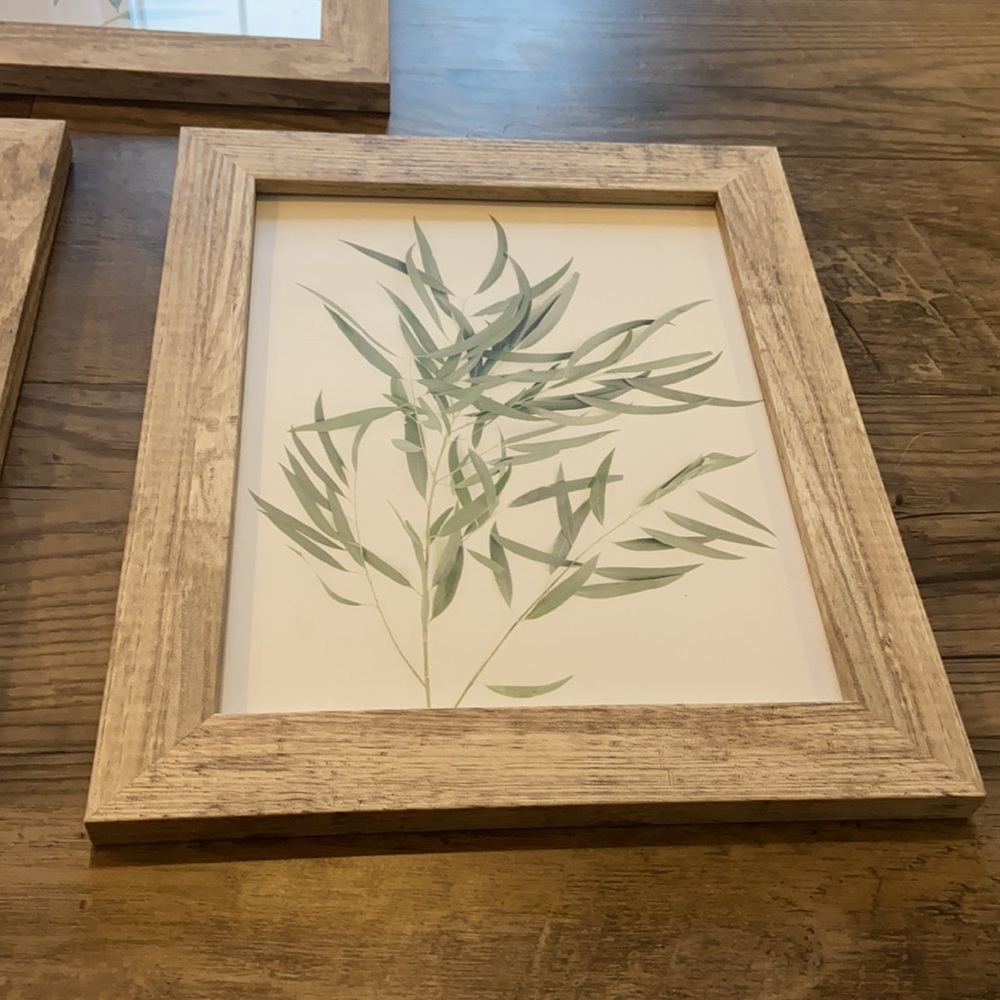 Leaf pictures in frames bundle - Picture 6 of 7